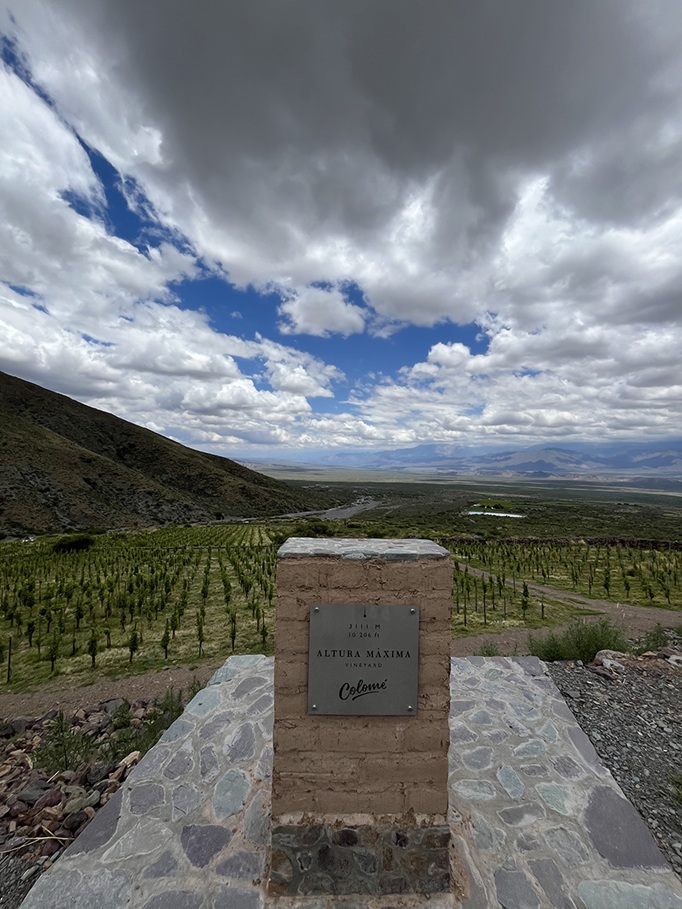 FINCA-ALTURA-MAXIMA